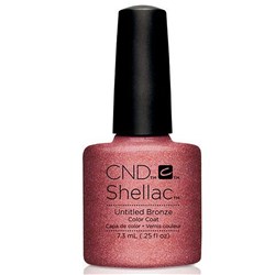 Shellac - Untitled Bronze